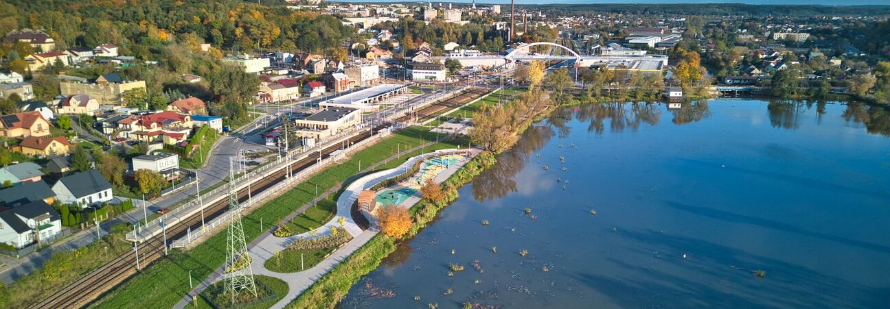 miasto, pasternik