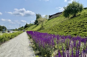 IMG_E4941.JPG