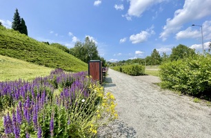 IMG_E4948.JPG