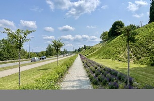IMG_E4953.JPG