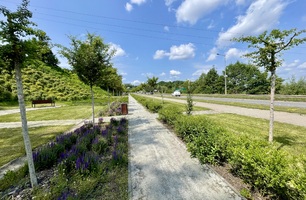 IMG_E4950.JPG