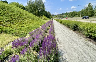 IMG_E4949.JPG