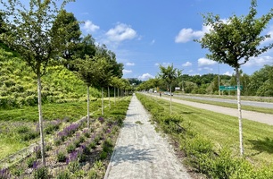 IMG_E4951.JPG