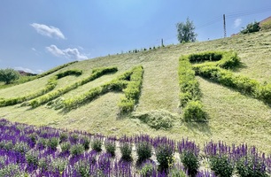 IMG_E4945.JPG